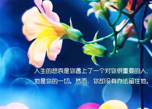 我和妈妈的齿轮(佚名)小说最新章节