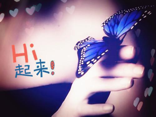 徐清研陆宴淮免费阅读 徐清研陆宴淮最新章节目录