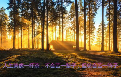 胡闹顺应昭阳最新章节在线阅读