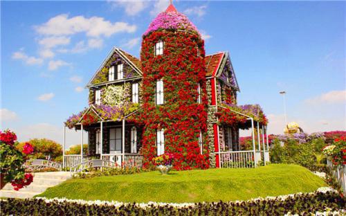 恶毒反派专业户她火了(结局) 林悦然沈卿卿顾宴舟免费阅读全文