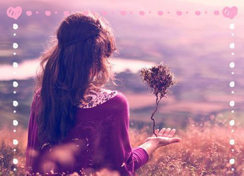 唐琪李志伟免费阅读目录 唐琪李志伟小说全文