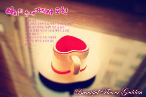 付思宜程知阙免费阅读无弹窗 付思宜程知阙最新章节