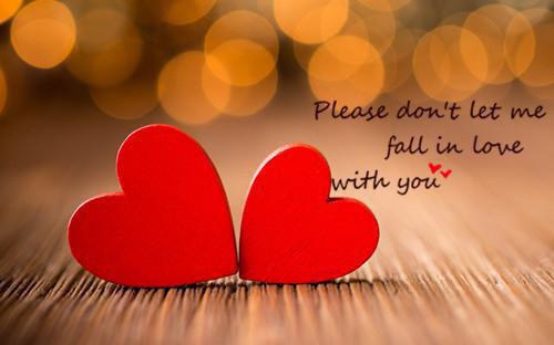 (最新)周湛沈梨季延小说完整版免费阅读