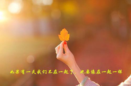 都市妙手龙医免费章节抢先阅读