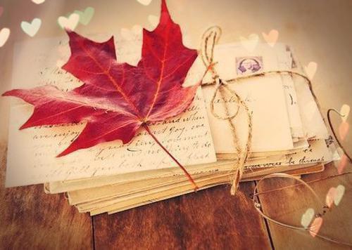 错误出生免费章节抢先阅读