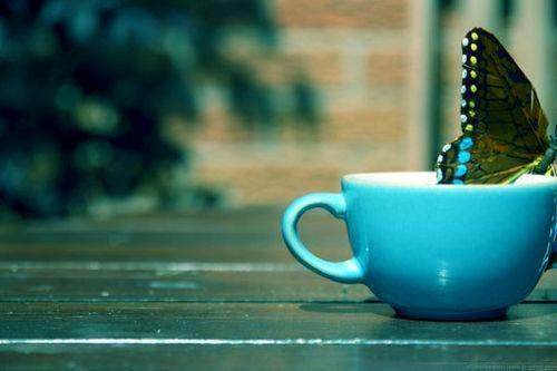 徐梦璋陈宁小说 跟绝色男鬼同居后,他无时不在勾引我章节阅读