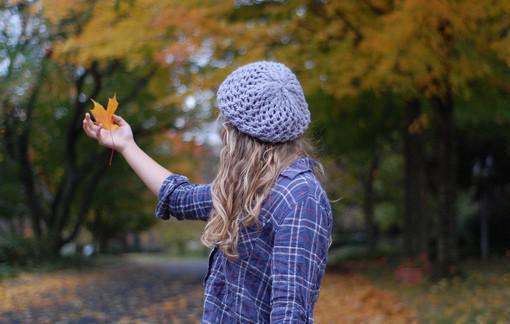 主角是周珩白芷顾淮的小说免费阅读全文大结局