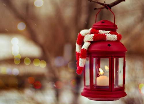 夏瑶厉天熠全文免费 夏瑶厉天熠在线阅读