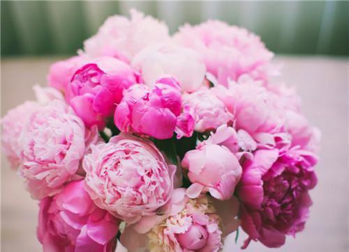 长生：我在掖幽庭风华日月的小说主角（邢棒）免费阅读_邢棒热搜小说完结版阅读