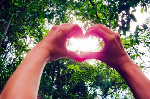 夏暖暖傅克己免费阅读无弹窗最新章节列表(夏暖暖傅克己)