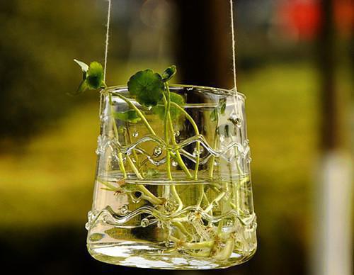 娘家人带我手撕出轨丈夫姜云峥郑淅by木锦