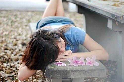 傅时辰白微微林鸢然小说叫什么名字 傅时辰白微微林鸢然全文免费阅读