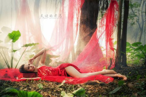 野蛮生长小说全文免费阅读(林衔青张以峤)全文在线林衔青张以峤读无弹窗大结局_(野蛮生长小说林衔青张以峤)野蛮生长小说在线林衔青张以峤读无弹窗最新章节列表(林衔青张以峤)