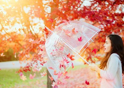 苏梅娇娇阿玉免费阅读小说 苏梅娇娇阿玉第一章