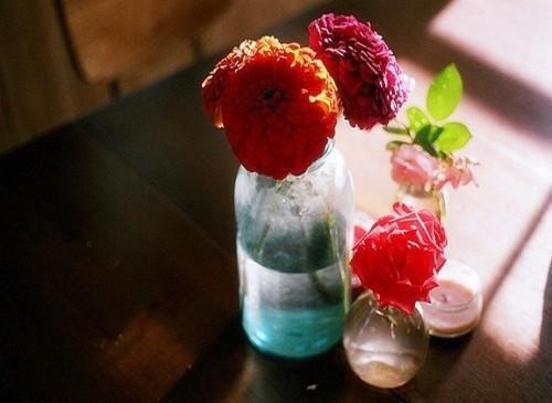 唐寅朱平免费小说 唐寅朱平全文阅读目录