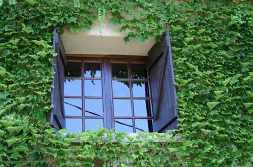 苏锦棠萧砚小说在哪里看 苏锦棠萧砚在线阅读第三章