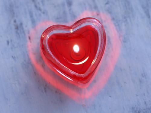 苏枕淮路星冉哪里可以看 苏枕淮路星冉免费阅读第1章