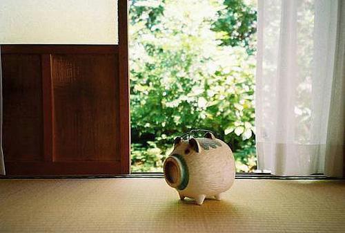 倾城萧珝许柔淑小说叫什么 倾城萧珝许柔淑小说全文免费阅读