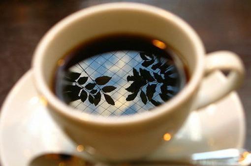 叶曦蓝程辛宴的小说 叶曦蓝程辛宴全文免费阅读