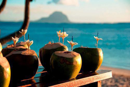 洛芷薇景珩什么小说 洛芷薇景珩全文免费阅读