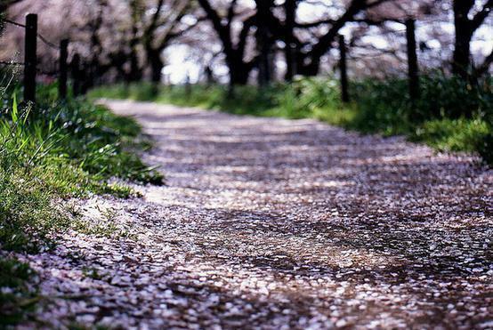 陈道林欣怡小说全文 陈道林欣怡小说免费阅读大结局