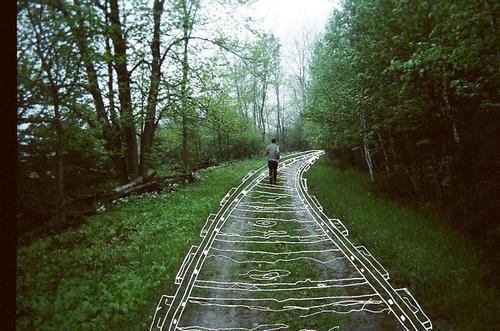 林越洲姜早江清清小说章节免费阅读 林越洲姜早江清清无弹窗