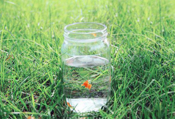 《黎初》章节目录by佚名无弹窗全文阅读