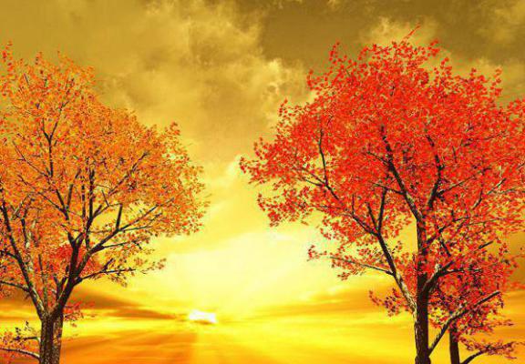 《陆菀裴翊小说》无弹窗全文免费阅读