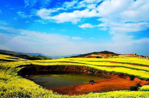 清冷美人要分手，疯批傅爷红了眼沈梨傅南大结局小说全本阅读