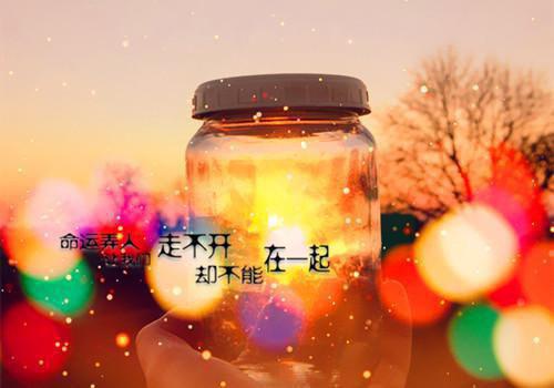 林夕周辰小说最后结局 林夕周辰完结版免费阅读