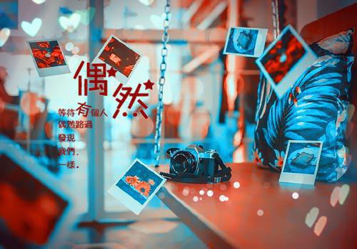 我是霸总金丝雀小说 林锦陆庭州安倾辞在线阅读