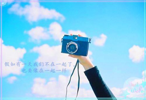 主角刘红杨倩李东小说免费阅读最新章节