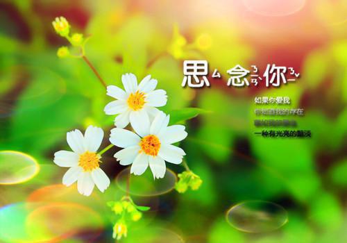 沈逾白顾祁小说 沈逾白顾祁完整版免费阅读