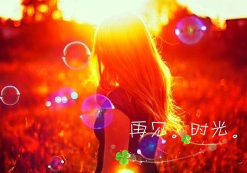 我用梦境捕到各种鬼小说 江稚鱼江起淮在线阅读