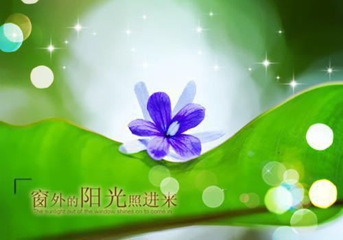 文茜王伯韬第3章 文茜王伯韬小说免费阅读