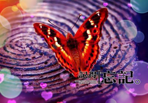 丧偶大结局免费阅读 陈诚茜茜小说章节目录