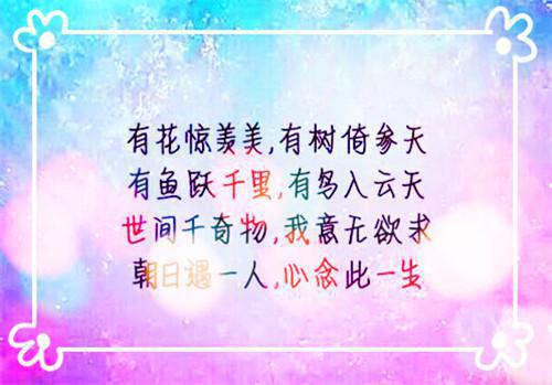 我被媚妃收养因被姐姐心上人求娶而惨死了小说免费阅读 洛姝洛宁佚名最新章节