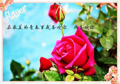 人在洪荒世界，开局娶亲成教主小说在线阅读无弹窗 云霄林叶章节列表