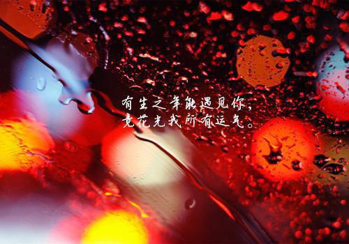 纪沫沫贺行裎小说最新章节 纪沫沫贺行裎免费阅读