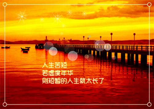 宋承洲沈雨薇林宏宇小说无弹窗 为陪男闺蜜蹦极,妻子流产了在线看