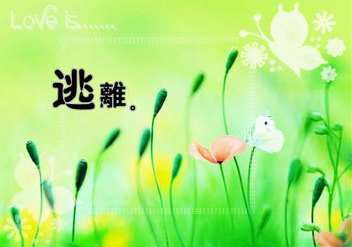 沈知意婷婷小说 沈知意婷婷免费章节阅读