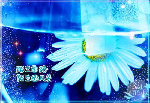 虐茶细雨小说全文免费阅读(陆知文宋桐)全文免费陆知文宋桐读无弹窗大结局_云上(大梦小说免费陆知文宋桐读)陆知文宋桐免费陆知文宋桐读无弹窗最新章节列表（陆知文宋桐）