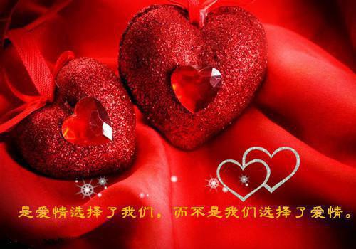 新婚当天被流放？搬空国库一路浪全文免费阅读 白若离战北渊小说结局