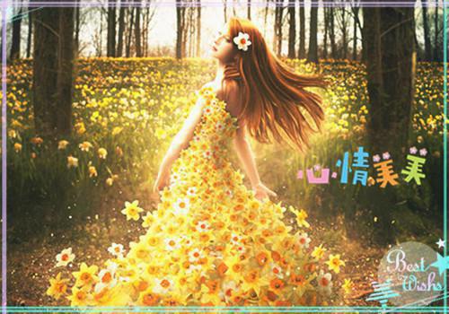 阮薇宁孟越堂小说章节目录 阮薇宁孟越堂免费阅读第三章