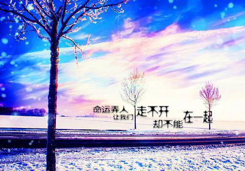 林心雨齐易安秦起淮什么小说 林心雨齐易安秦起淮全文免费阅读