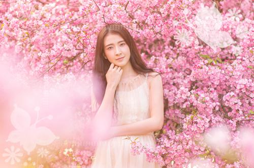 恶毒女配正在跑路顾清清傅司宴林婉儿免费章节在线阅读