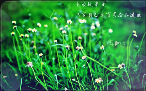 宁乔祎陆丞御顾恒旭小说在线阅读 宁乔祎陆丞御顾恒旭最新章节目录