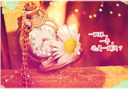 陆廷枭江苒免费阅读江苒陆廷枭最新章节目录