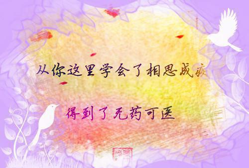 今日头条白月光女配和男主了小说在线阅读无弹窗 于念娣裴娇娇章节目录