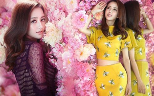 甄白莲南宫煜免费全文 甄白莲南宫煜小说在线阅读